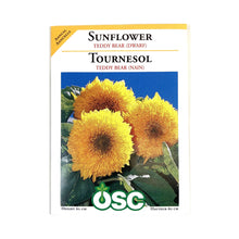 Load image into Gallery viewer, Sunflower - Teddybear Dwarf Seeds, OSC
