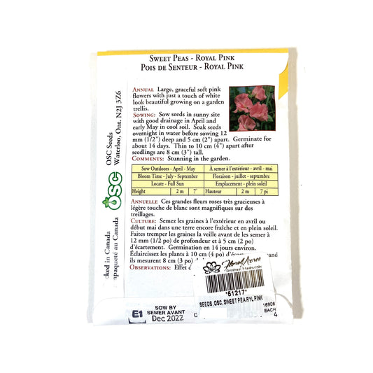 Sweet Pea - Royal Pink Seeds, OSC