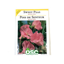 Load image into Gallery viewer, Sweet Pea - Royal Pink Seeds, OSC

