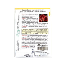 Load image into Gallery viewer, Sweet Pea - Royal Scarlet Seeds, OSC
