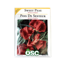 Load image into Gallery viewer, Sweet Pea - Royal Scarlet Seeds, OSC
