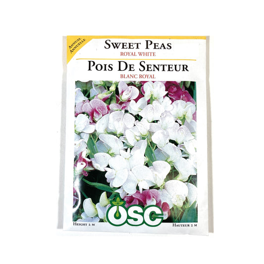 Sweet Pea - Royal White Seeds, OSC