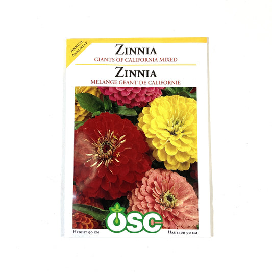 Zinnia - Giants of California Mixture Seeds, OSC