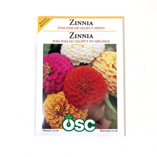 Zinnia - Pom Pom Mixture Seeds, OSC