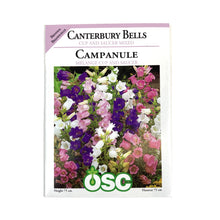 Load image into Gallery viewer, Canterbury Bells - Cup &amp; Saucer Mixture Seeds, OSC
