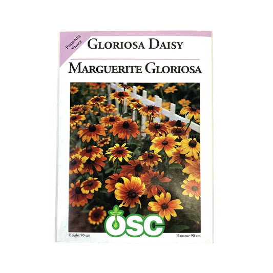 Gloriosa Daisy Seeds, OSC