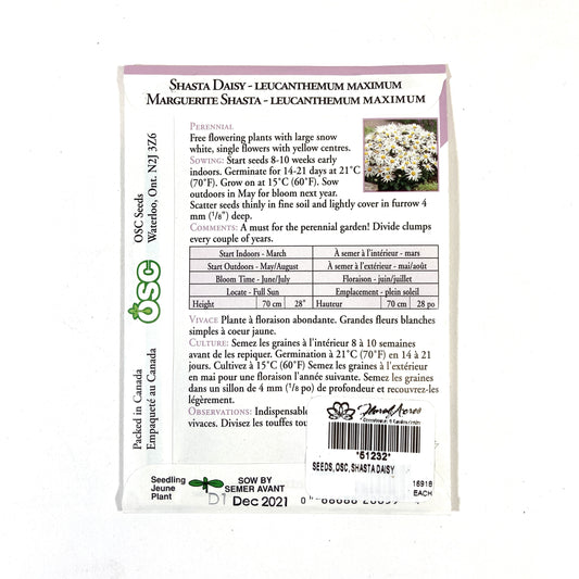 Shasta Daisy Seeds, OSC