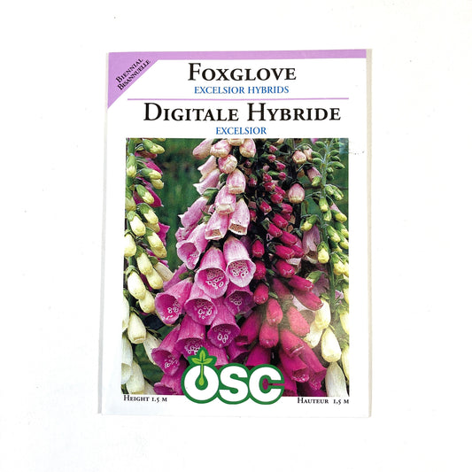 Foxglove - Excelsior Hybrid Seeds, OSC