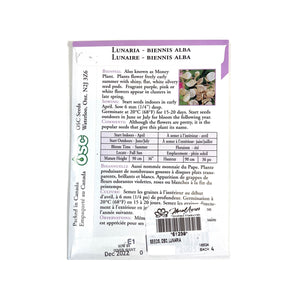 Lunaria - Silver Dollar Plant Seeds, OSC