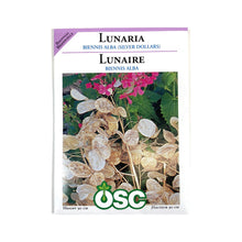 Load image into Gallery viewer, Lunaria - Silver Dollar Plant Seeds, OSC
