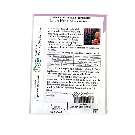 Lupin - Russels Hybrids Mixture Seeds, OSC