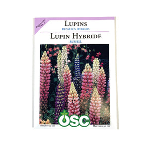 Lupin - Russels Hybrids Mixture Seeds, OSC