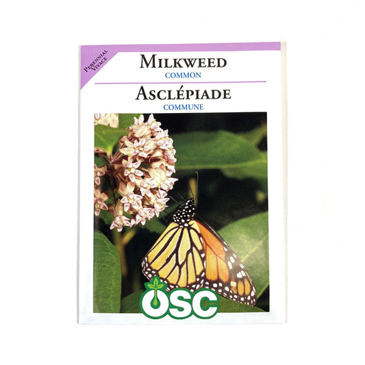 Milkweed - Common Seeds, OSC