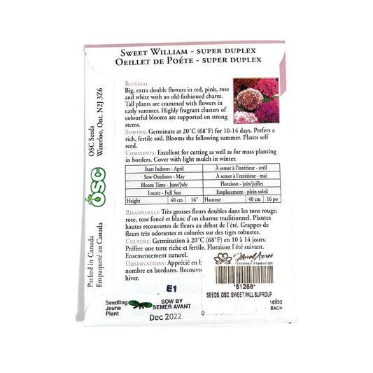 Sweet William - Super Duplex Mixture Seeds, OSC