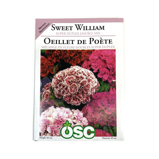 Sweet William - Super Duplex Mixture Seeds, OSC
