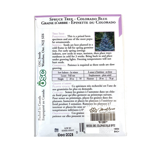 Colorado Blue Spruce Tree Seeds, OSC