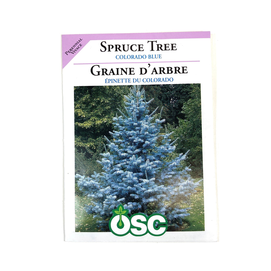 Colorado Blue Spruce Tree Seeds, OSC