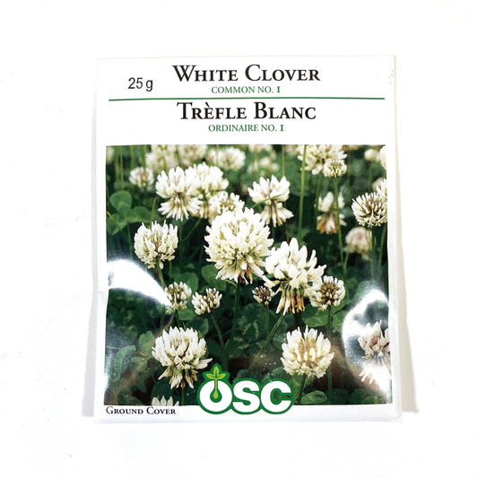 White Clover Seeds, OSC 25g