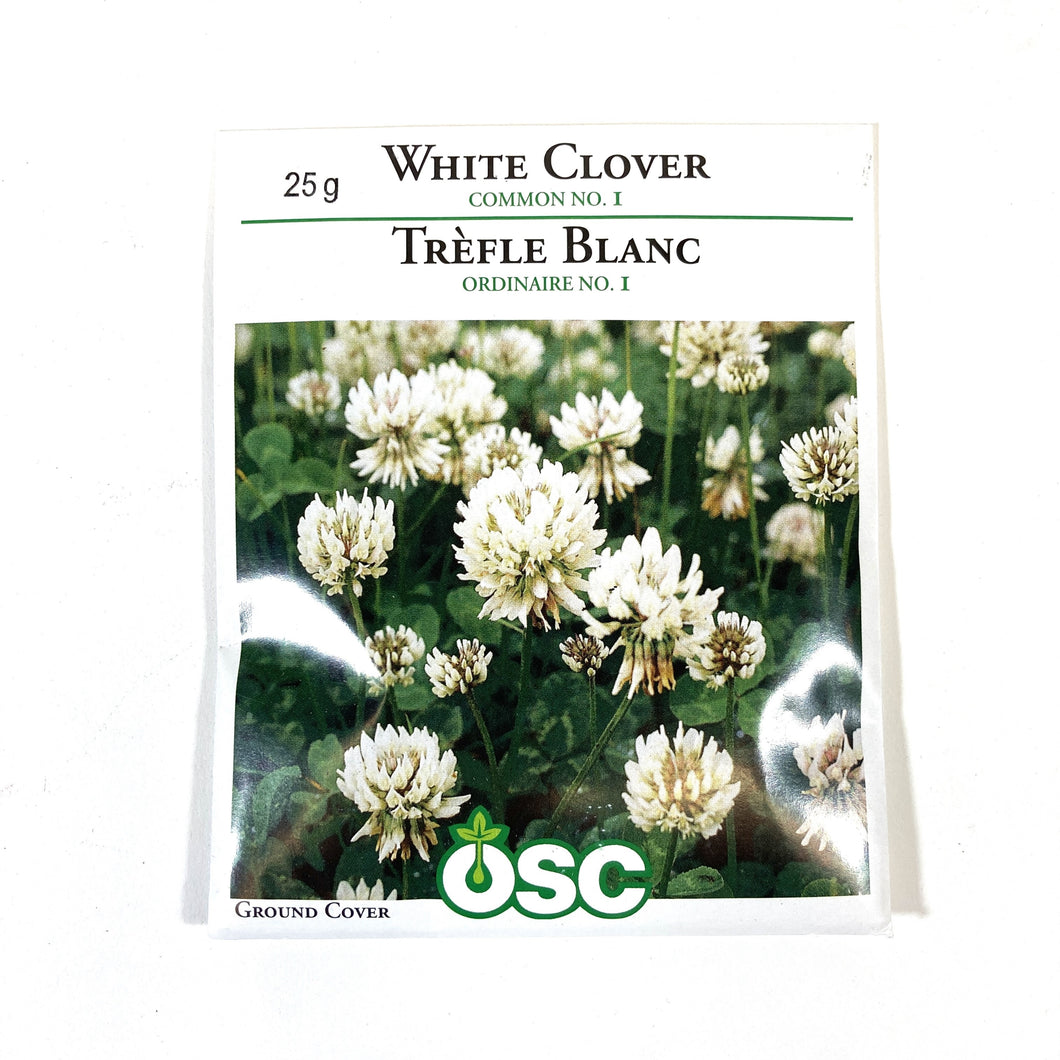 White Clover Seeds, OSC 25g