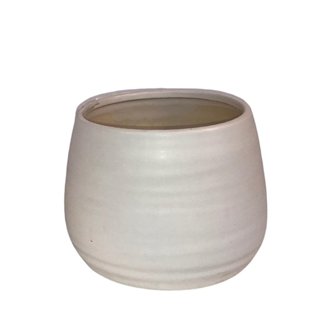 Pot, 4in, Ceramic, Carina Rounded, White - Floral Acres Greenhouse & Garden Centre