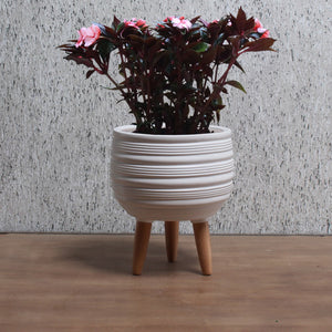 Pot, 8in, Ceramic, Jocey w/ Beech Legs, White - Floral Acres Greenhouse & Garden Centre