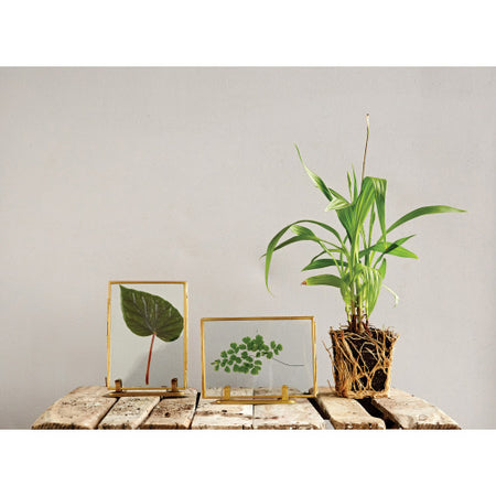 Brass & Glass Standing Photo Frame, 5x7, 2 Styles - Floral Acres Greenhouse & Garden Centre