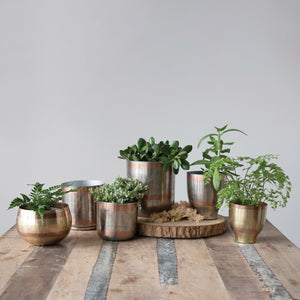 Pot, 5in, Metal, Engraved Antique Multi Metal - Floral Acres Greenhouse & Garden Centre