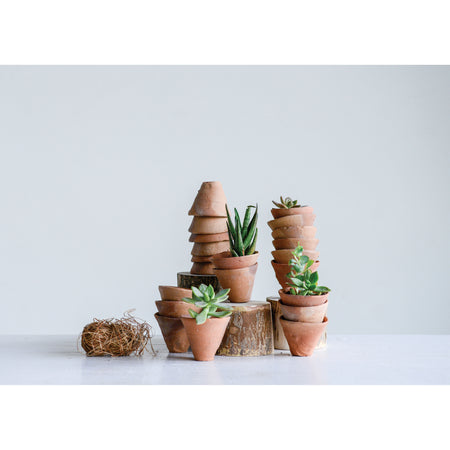 Pot, 2in, Terracotta Cone - Floral Acres Greenhouse & Garden Centre