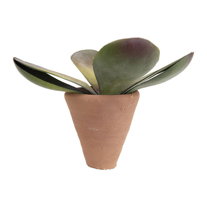 Pot, 2in, Terracotta Cone - Floral Acres Greenhouse & Garden Centre