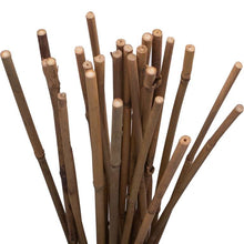 Load image into Gallery viewer, Holland Greenhouse Bamboo Stakes, 2ft, 25 pack - Floral Acres Greenhouse &amp; Garden Centre

