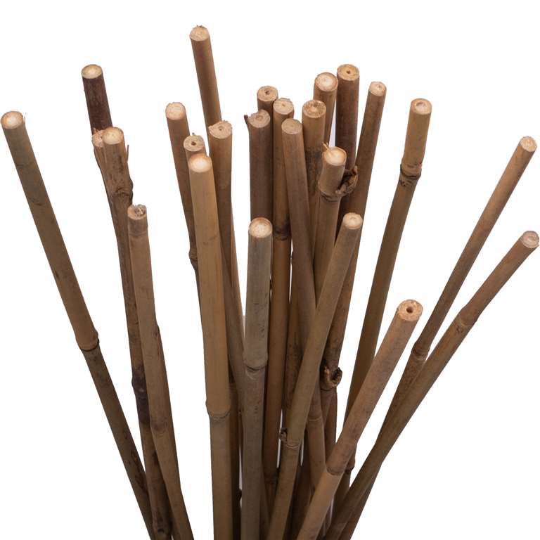 Holland Greenhouse Bamboo Stakes, 6ft, 12 pack - Floral Acres Greenhouse & Garden Centre