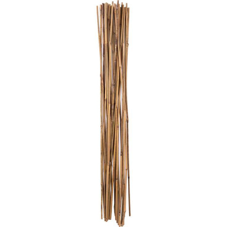 Holland Greenhouse Bamboo Stakes, 6ft, 12 pack - Floral Acres Greenhouse & Garden Centre