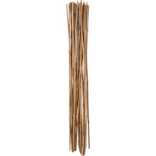 Load image into Gallery viewer, Holland Greenhouse Bamboo Stakes, 4ft, 25 pack - Floral Acres Greenhouse &amp; Garden Centre
