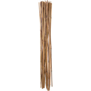 Holland Greenhouse Bamboo Stakes, 4ft, 25 pack - Floral Acres Greenhouse & Garden Centre