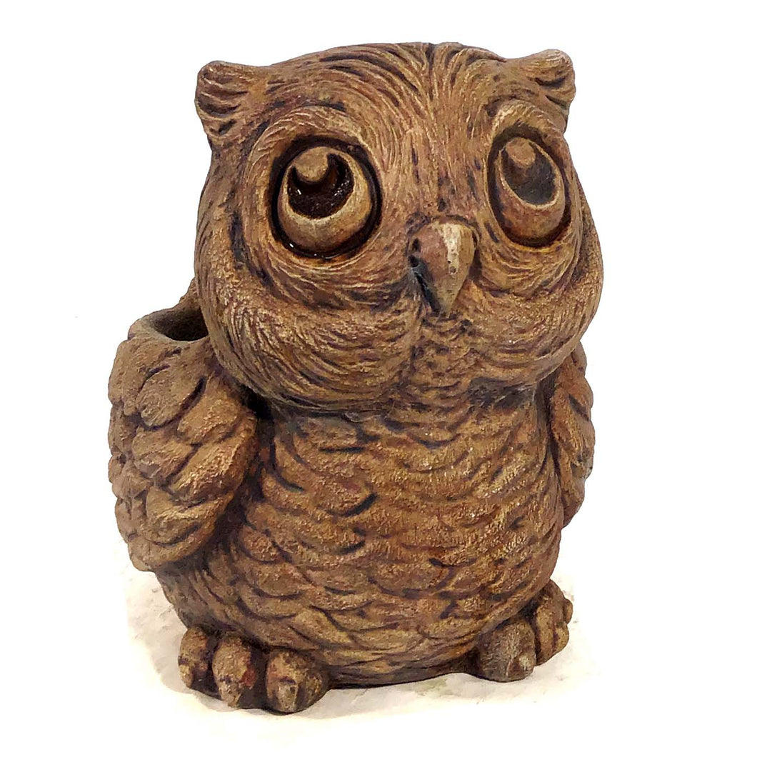 Hoot the Owl Cement Planter