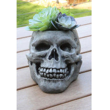 Load image into Gallery viewer, Skull Cement Planter - Floral Acres Greenhouse &amp; Garden Centre
