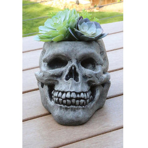 Skull Cement Planter - Floral Acres Greenhouse & Garden Centre