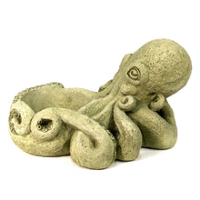 Load image into Gallery viewer, Inky the Octopus Cement Planter
