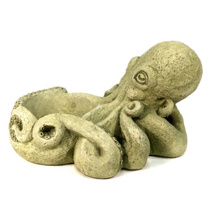 Inky the Octopus Cement Planter