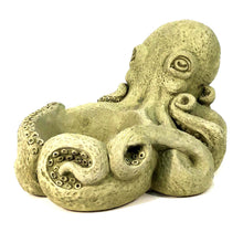 Load image into Gallery viewer, Inky the Octopus Cement Planter
