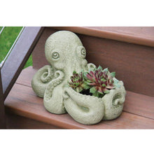 Load image into Gallery viewer, Inky the Octopus Cement Planter - Floral Acres Greenhouse &amp; Garden Centre
