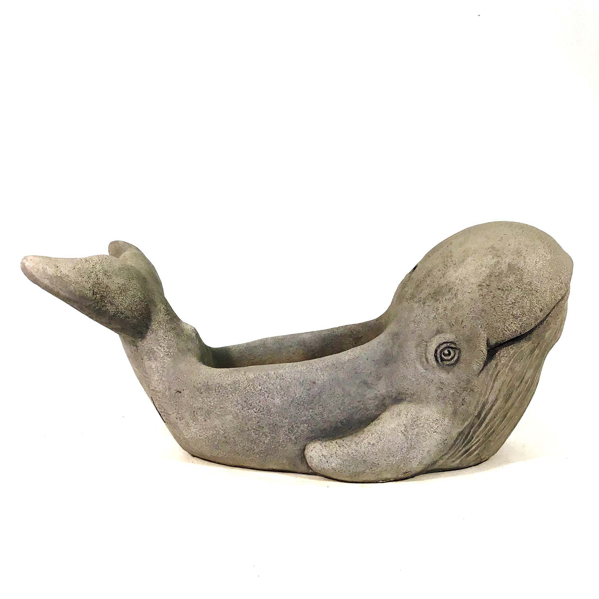 Kilo the Whale Cement Planter