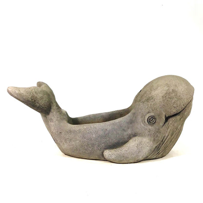 Kilo the Whale Cement Planter