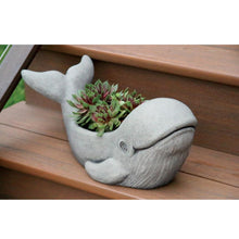 Load image into Gallery viewer, Kilo the Whale Cement Planter - Floral Acres Greenhouse &amp; Garden Centre
