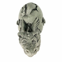 Load image into Gallery viewer, Lil Dragon - Hatching Perky Statue, 11in
