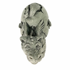 Lil Dragon - Hatching Perky Statue, 11in