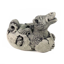 Load image into Gallery viewer, Lil Dragon - Hatching Perky Statue, 11in
