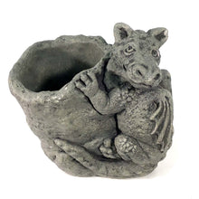 Load image into Gallery viewer, Dragon - Flo Cement Planter
