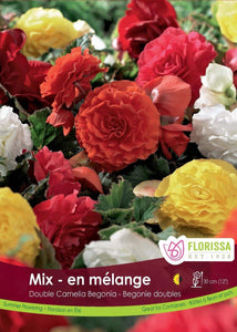 Begonia - Double Camelia Mix Bulbs, 3 Pack - Floral Acres Greenhouse & Garden Centre