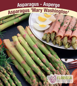 Asparagus - Mary Washington Bulbs, 8 Pack - Floral Acres Greenhouse & Garden Centre